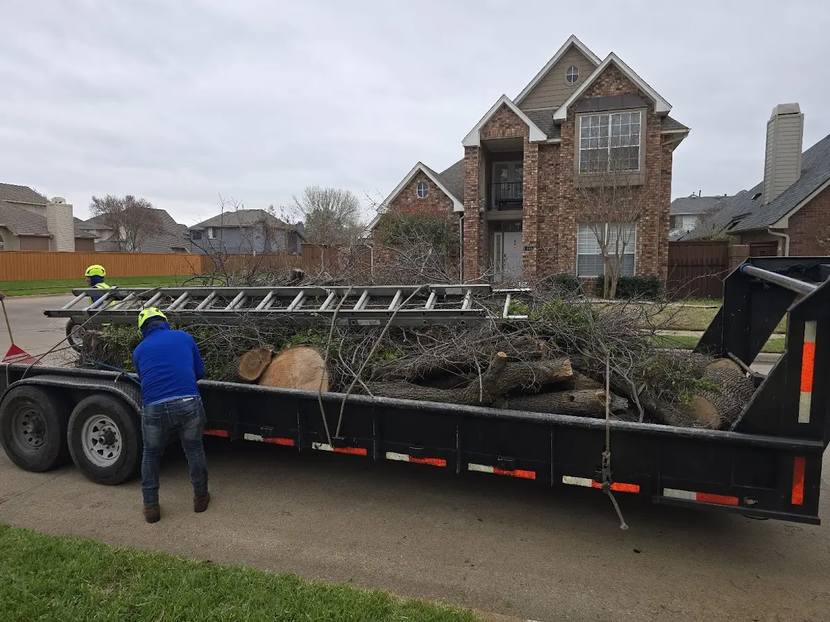 Expert Tree Pest Control with proper safety equipment in Titus